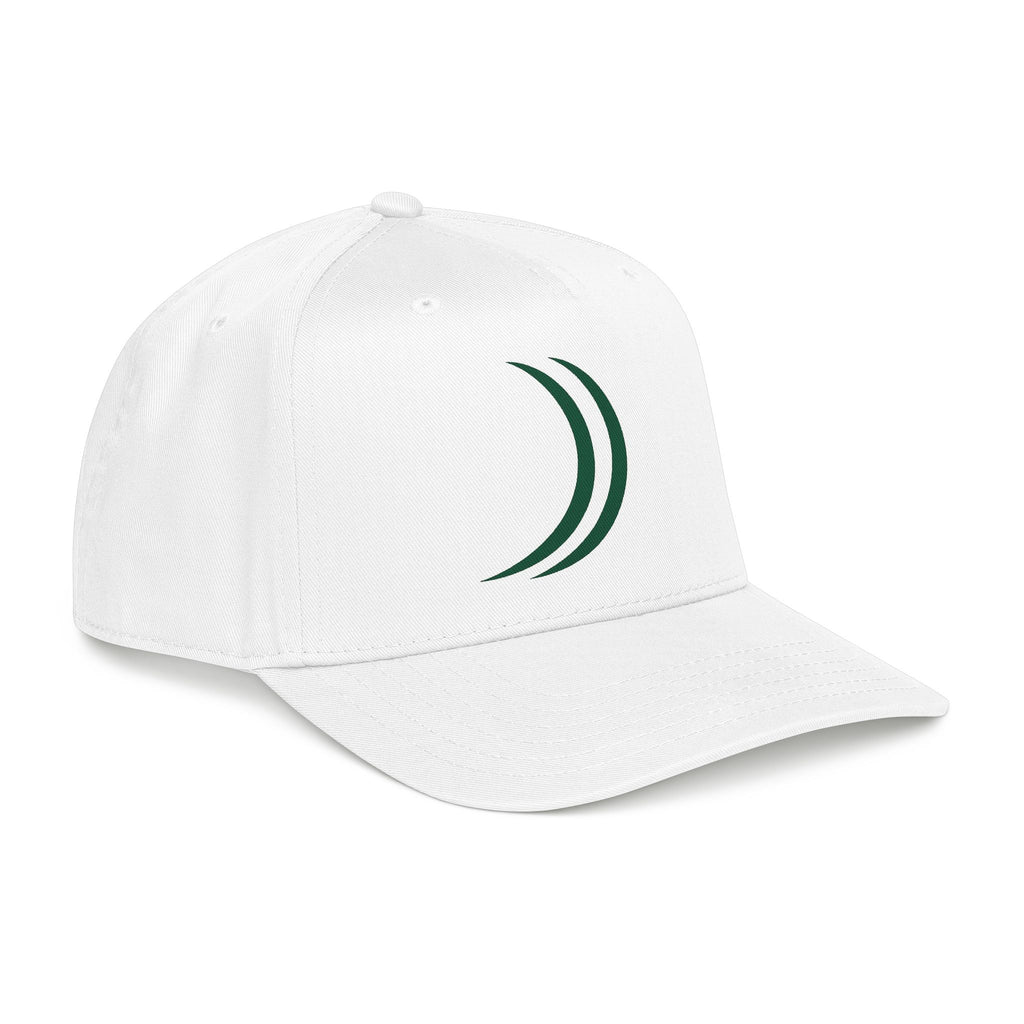 F9 Swing path Hat